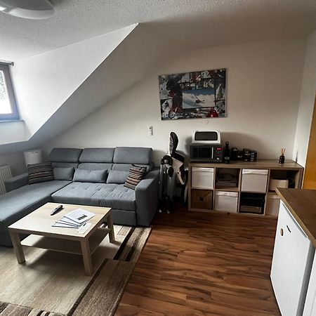 Family Apartment Sumava 바이에리슈아이젠슈타인 외부 사진