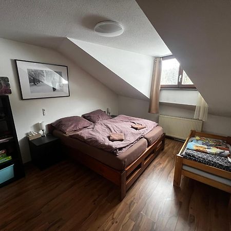 Family Apartment Sumava 바이에리슈아이젠슈타인 외부 사진